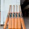 Lion Edition Soft Tennis Cricket Bat (850–900g)