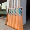 Lion Edition Soft Tennis Cricket Bat (850–900g)