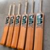 Lion Edition Soft Tennis Cricket Bat (850–900g)